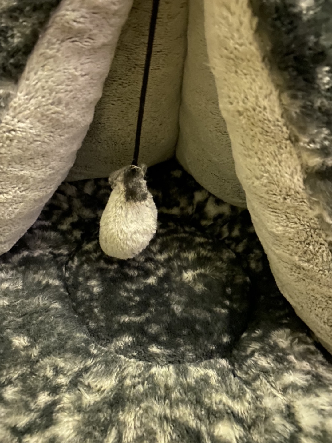 Cat/Puppy Cave Bed image indicator(2)