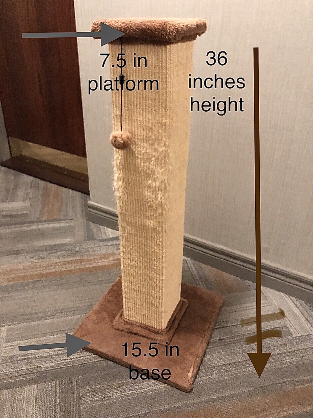 Cat Scratching Post thumbnail
