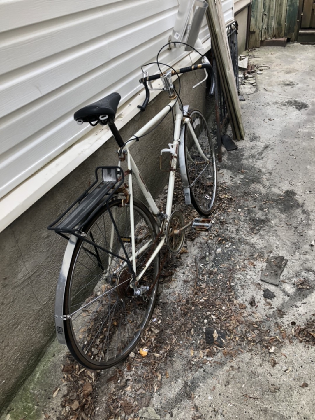 Adult Bike. Old school