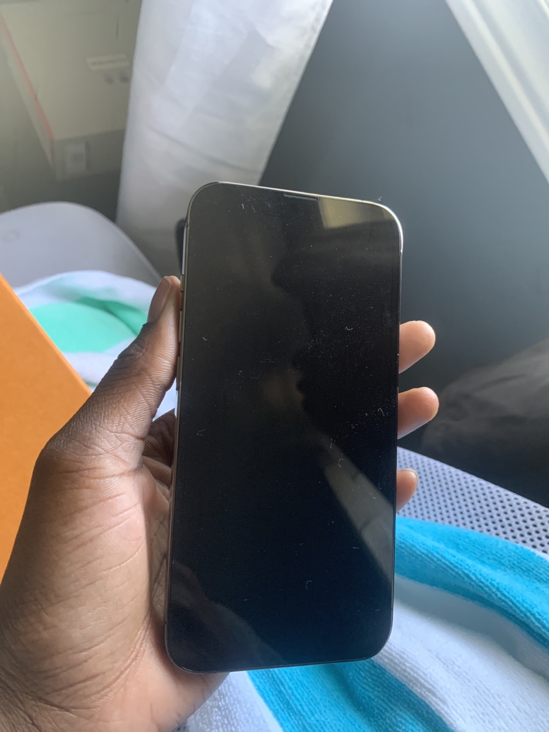 iPhone 13 Pro 256GB