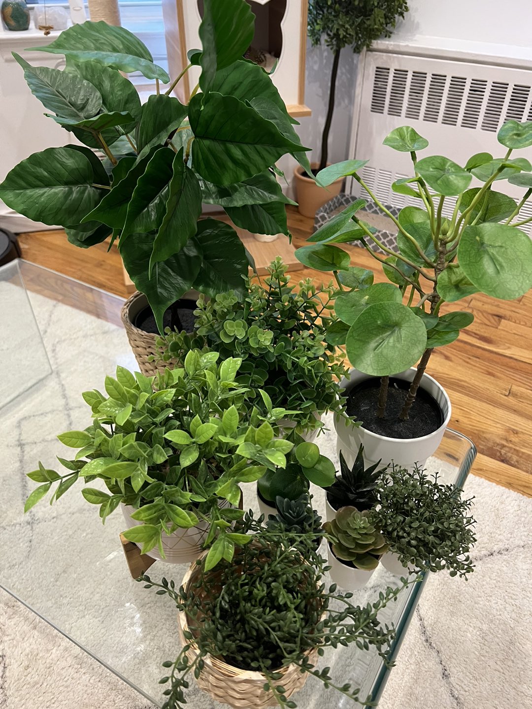 Cute Artificial House Plant Bundle