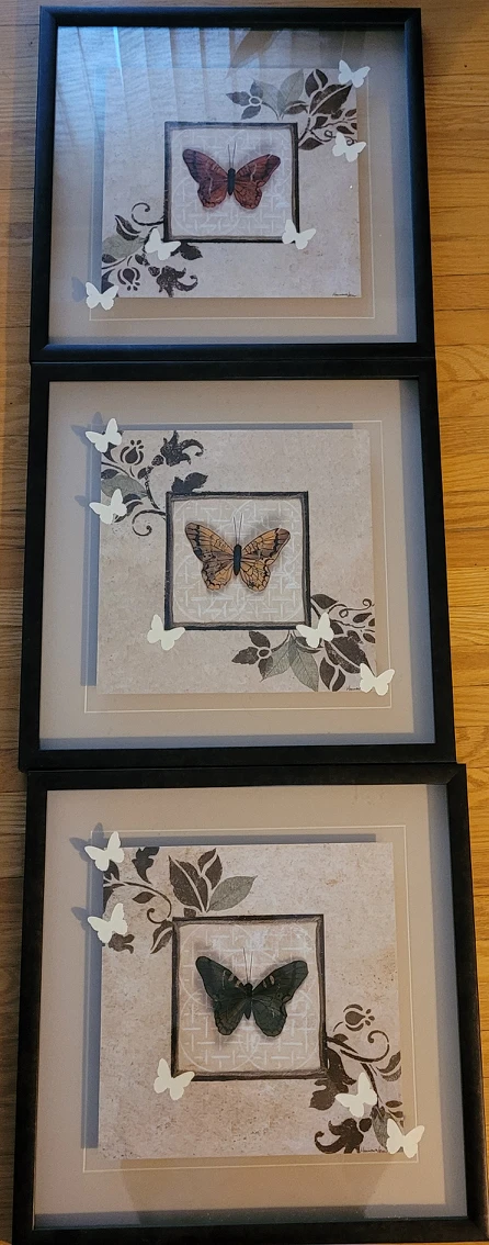 3 butterfly wall art prints. framed #free #Freecycle thumbnail