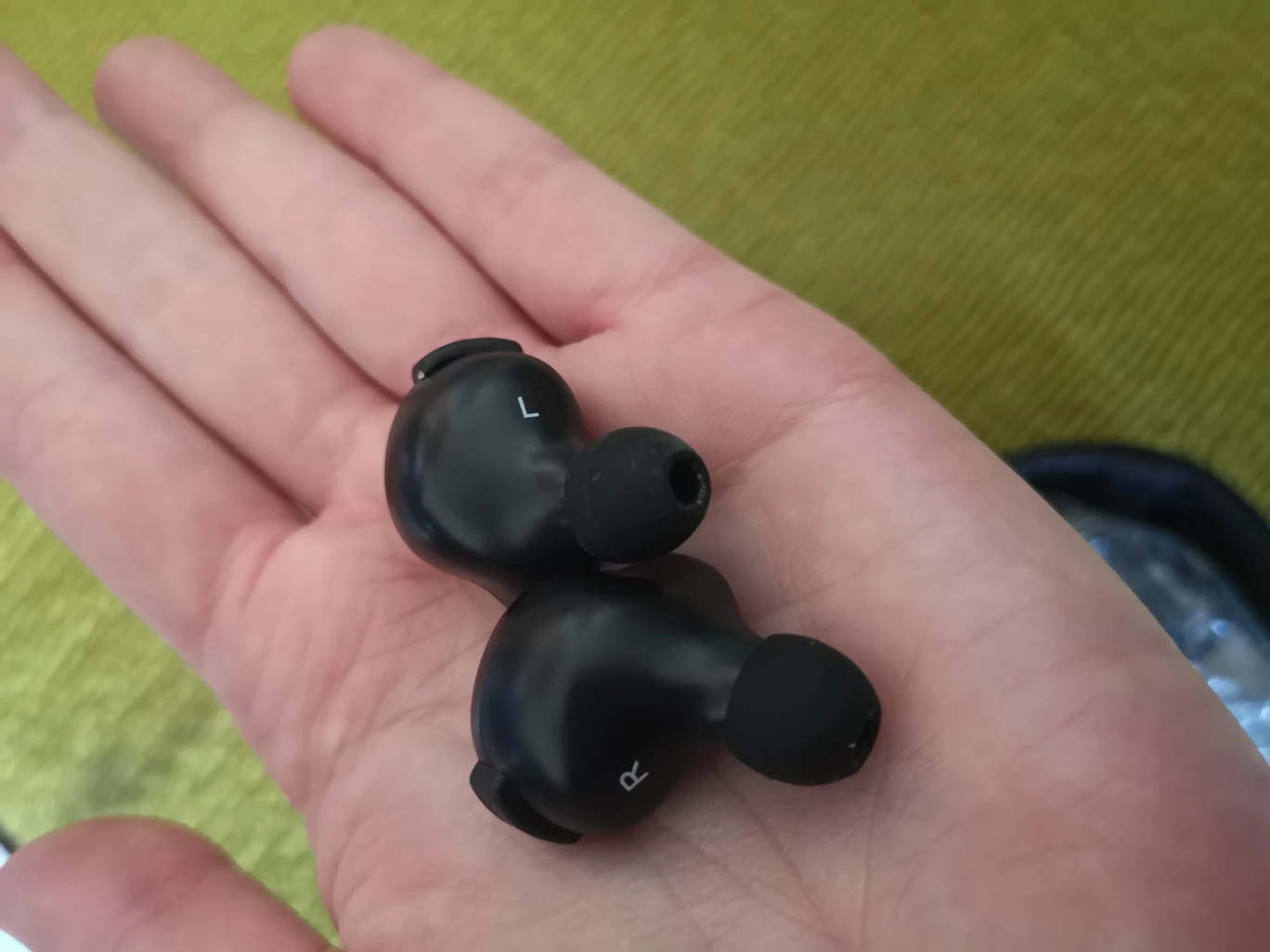 iq podz - photo 2