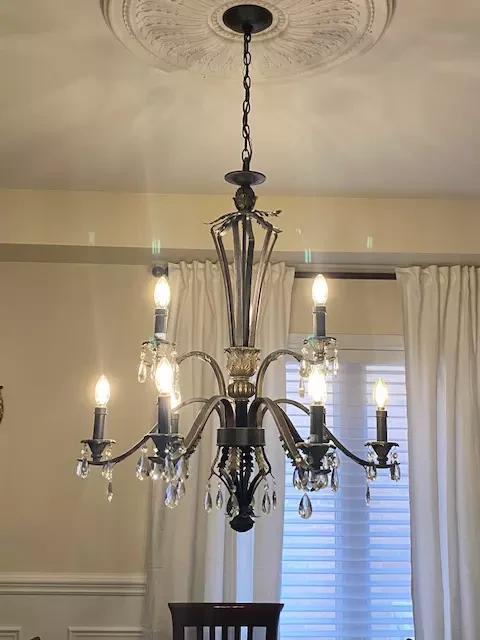 Thomas Lighting branded Elegant Chandelier thumbnail