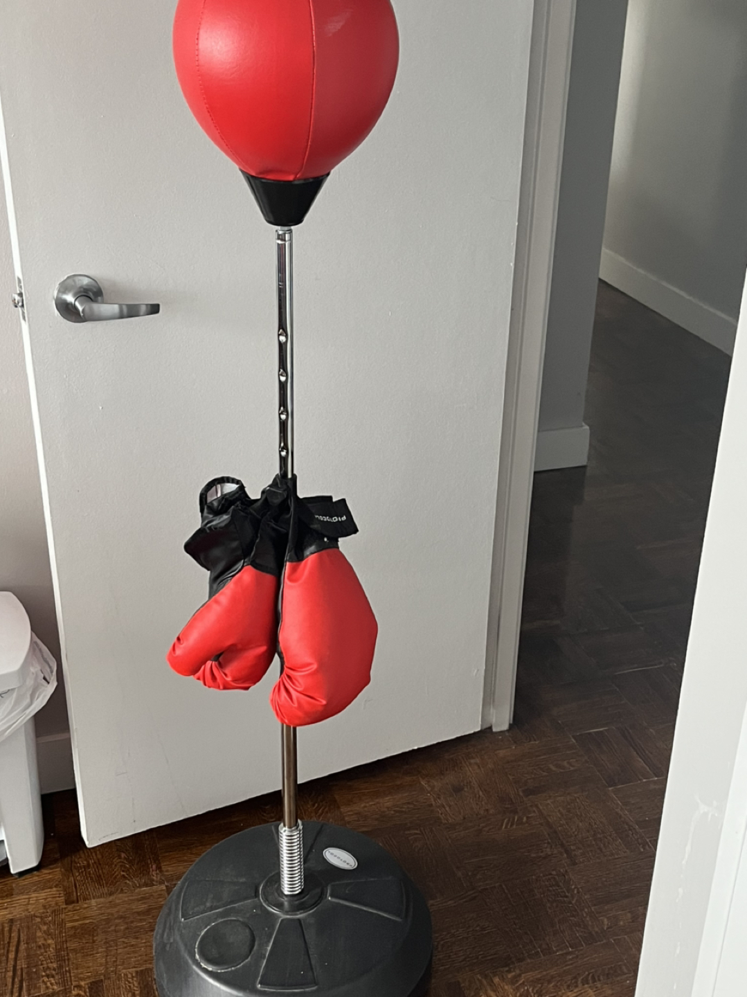 Bicycle and boxing for sale each 100$ image indicator(2)