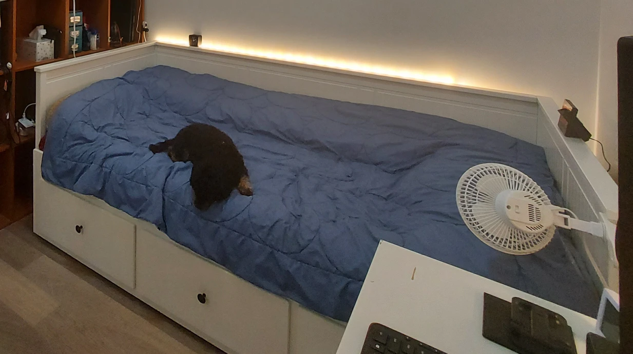 Ikea  Twin Bed frame & mattress