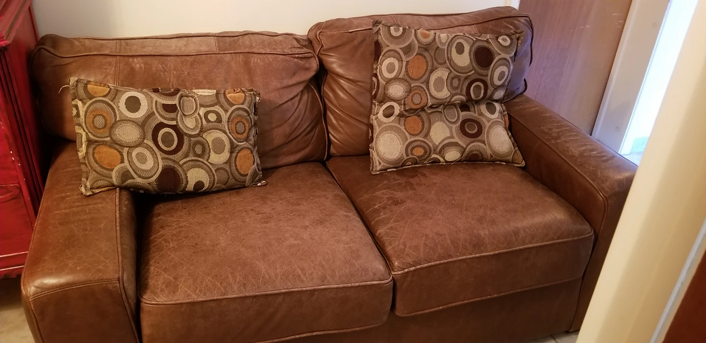 Small couch/Love seat - new price
