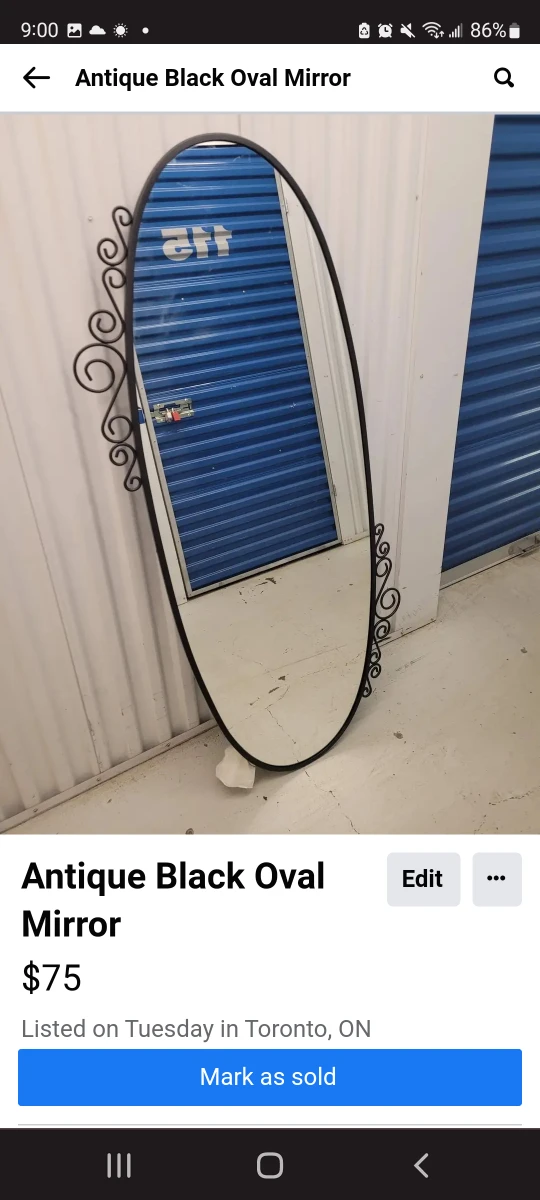Oval Mirror thumbnail