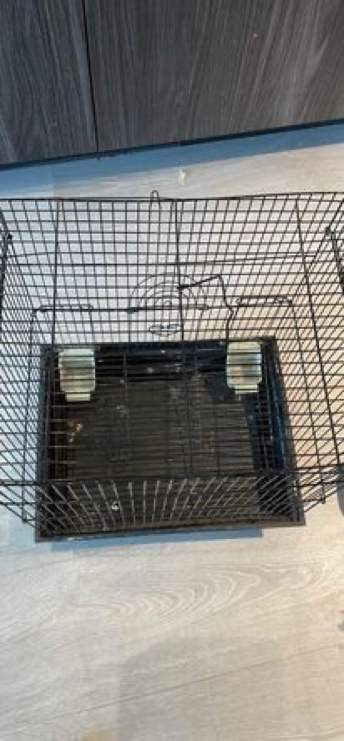 Bird cage
