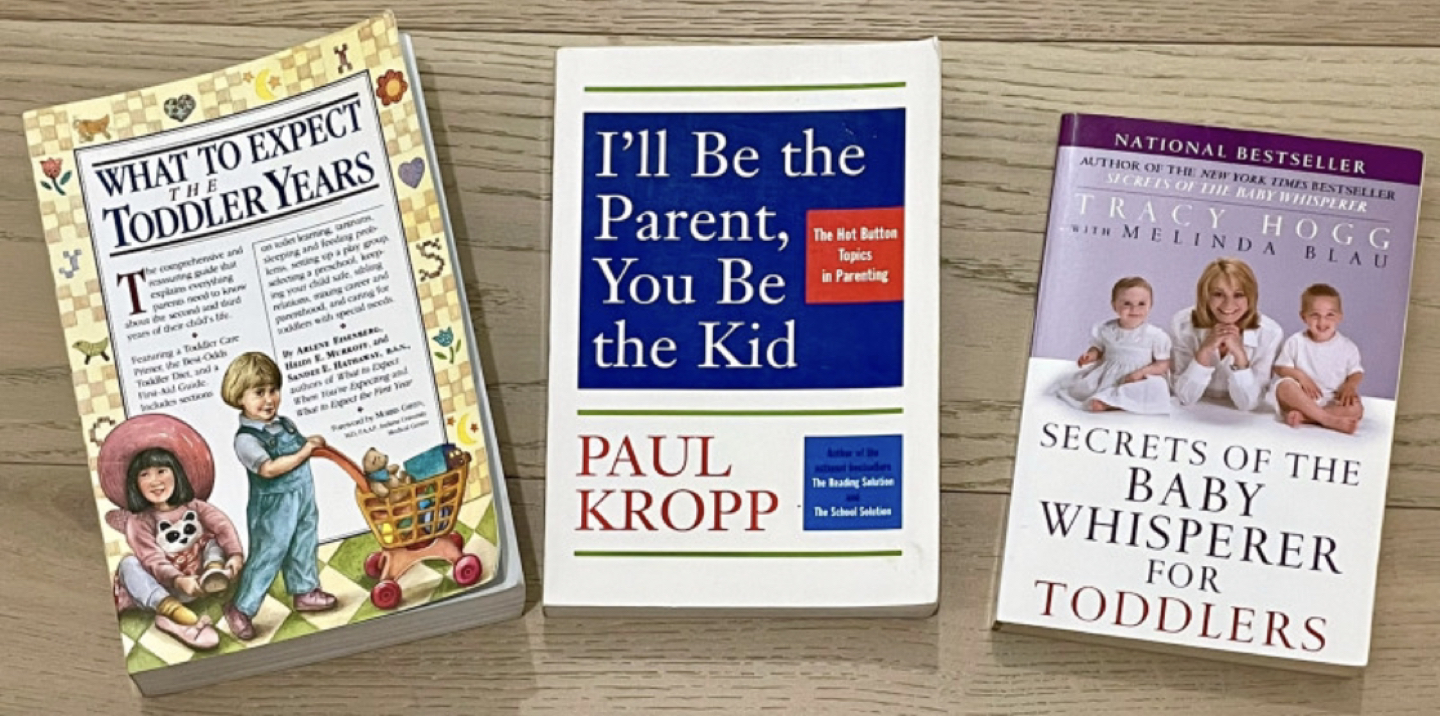 Parenting books - what to expect thumbnail