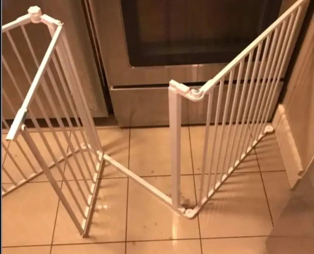PET FENCE AND GATE BY CARLSON thumbnail
