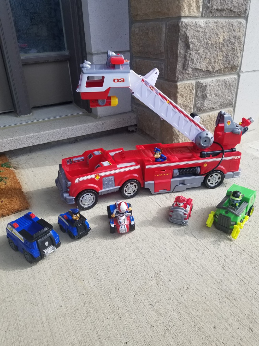 Paw patrol lot
