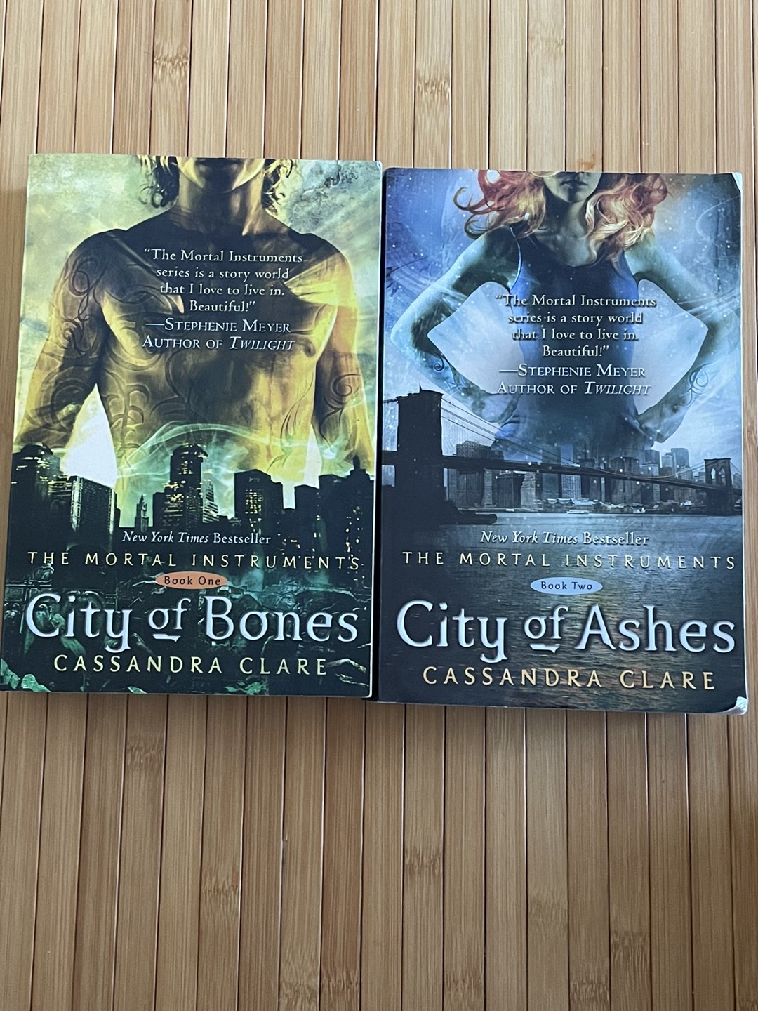 The Mortal Instruments book 1 and 2 thumbnail