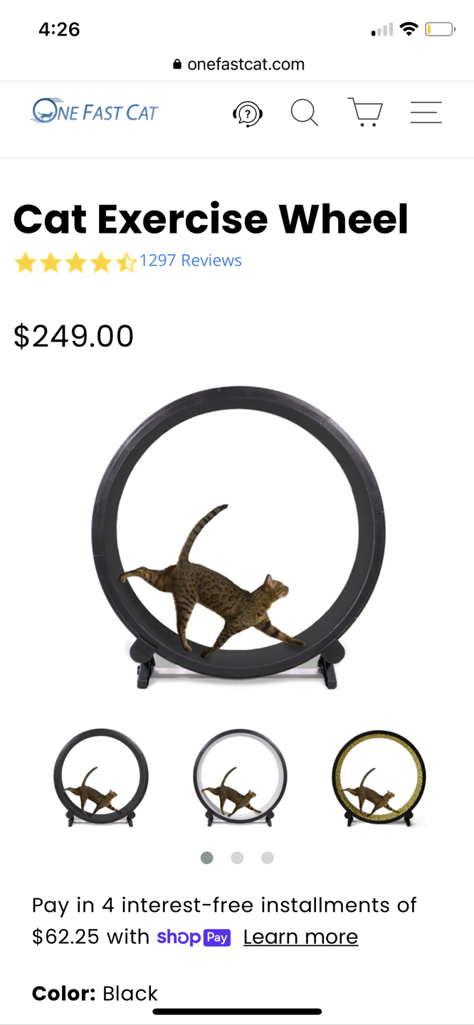 Cat wheel