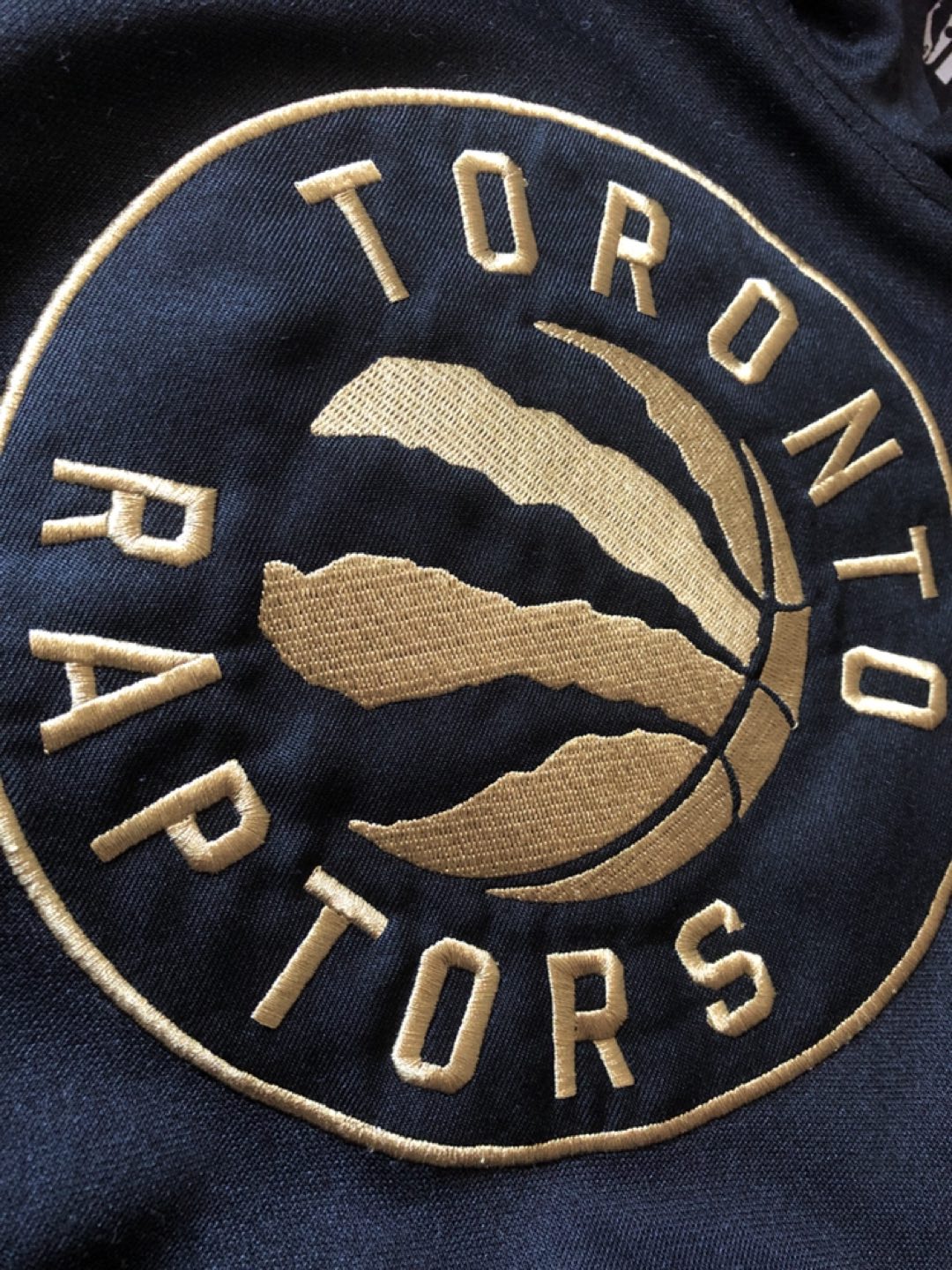 Toronto Raptors NBA black and gold hoodie image indicator(4)