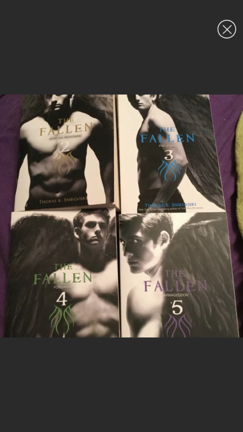 The Fallen Novels 2-5 thumbnail