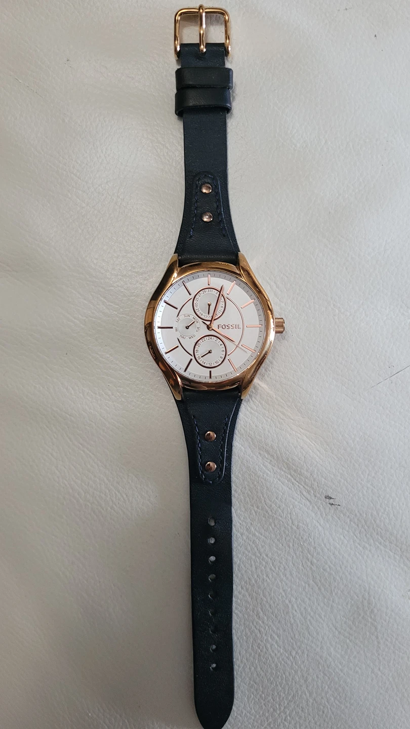 Fossil Watch EUC image indicator(2)