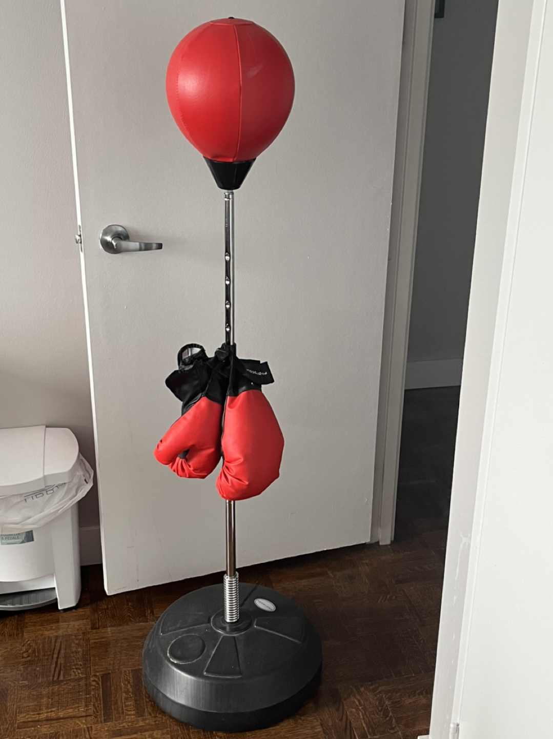 Bicycle and boxing for sale each 100$ image indicator(3)