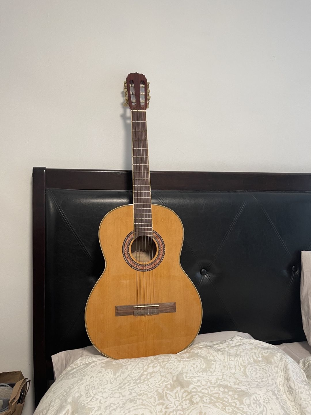 Carlos Robelli guitar