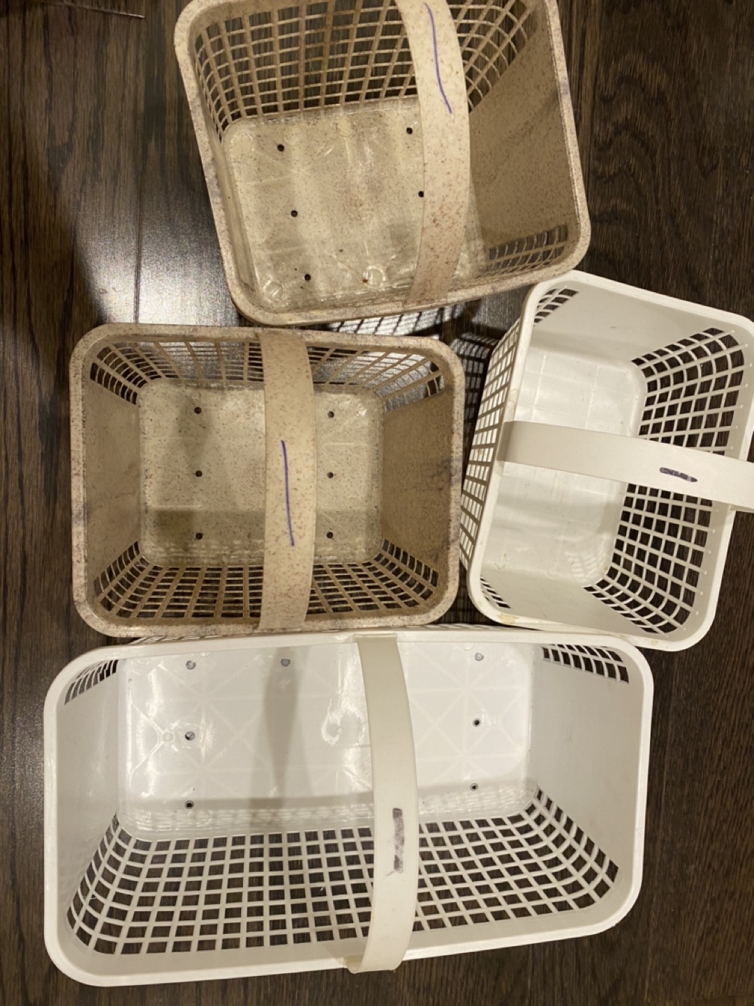Barrie hill farms basket #freecycle - photo 2