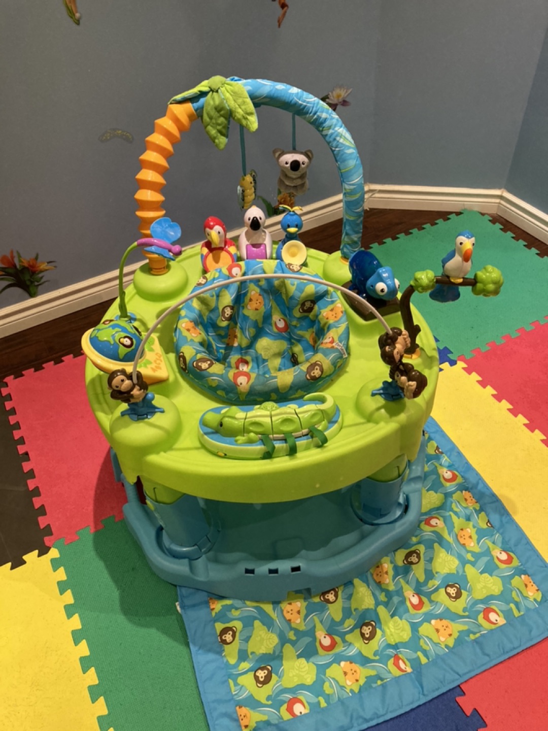 Evenflo Exersaucer Triple fun - Life in the Amazon thumbnail
