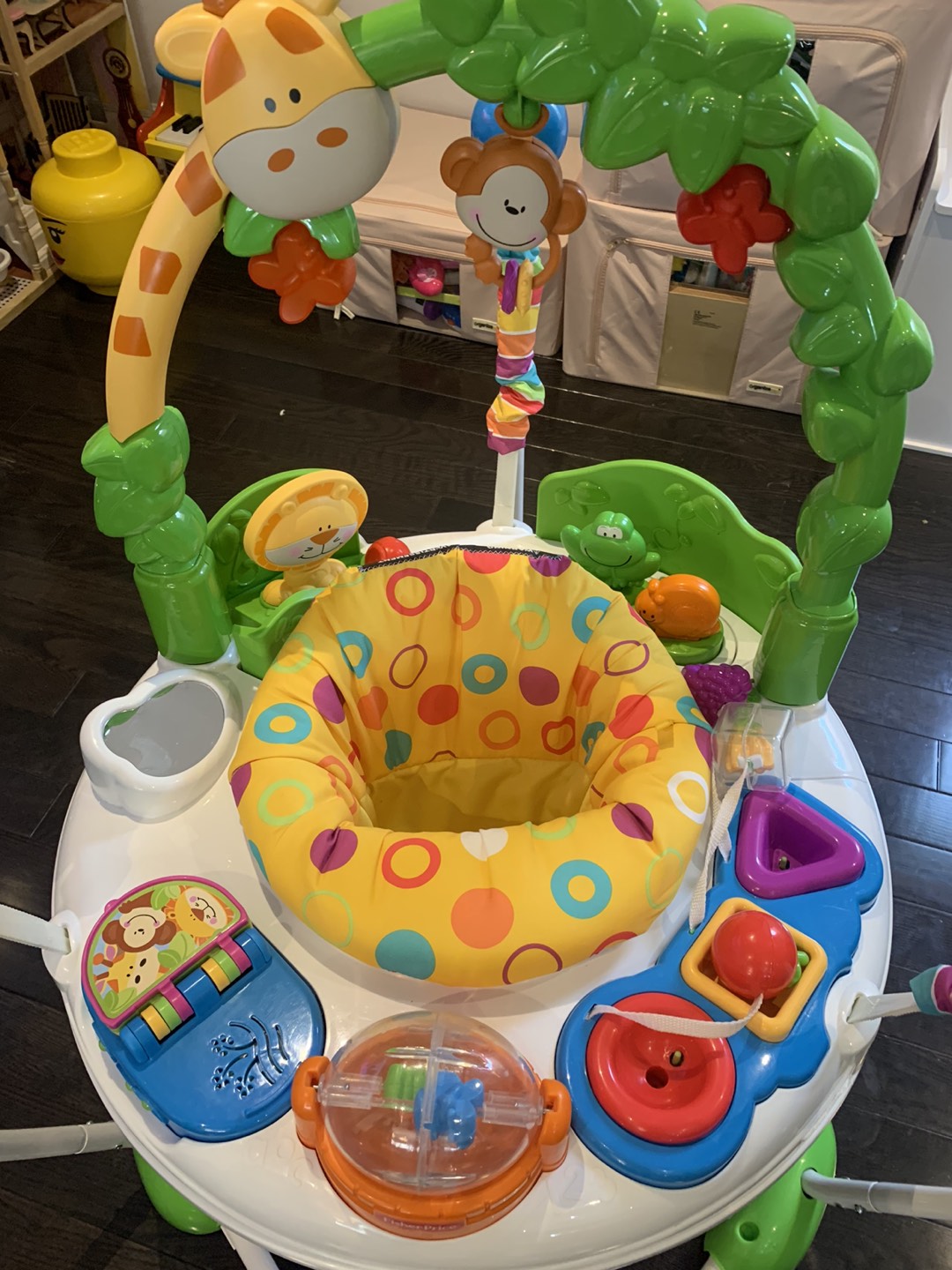 Fisher price baby jumper roo - photo 2