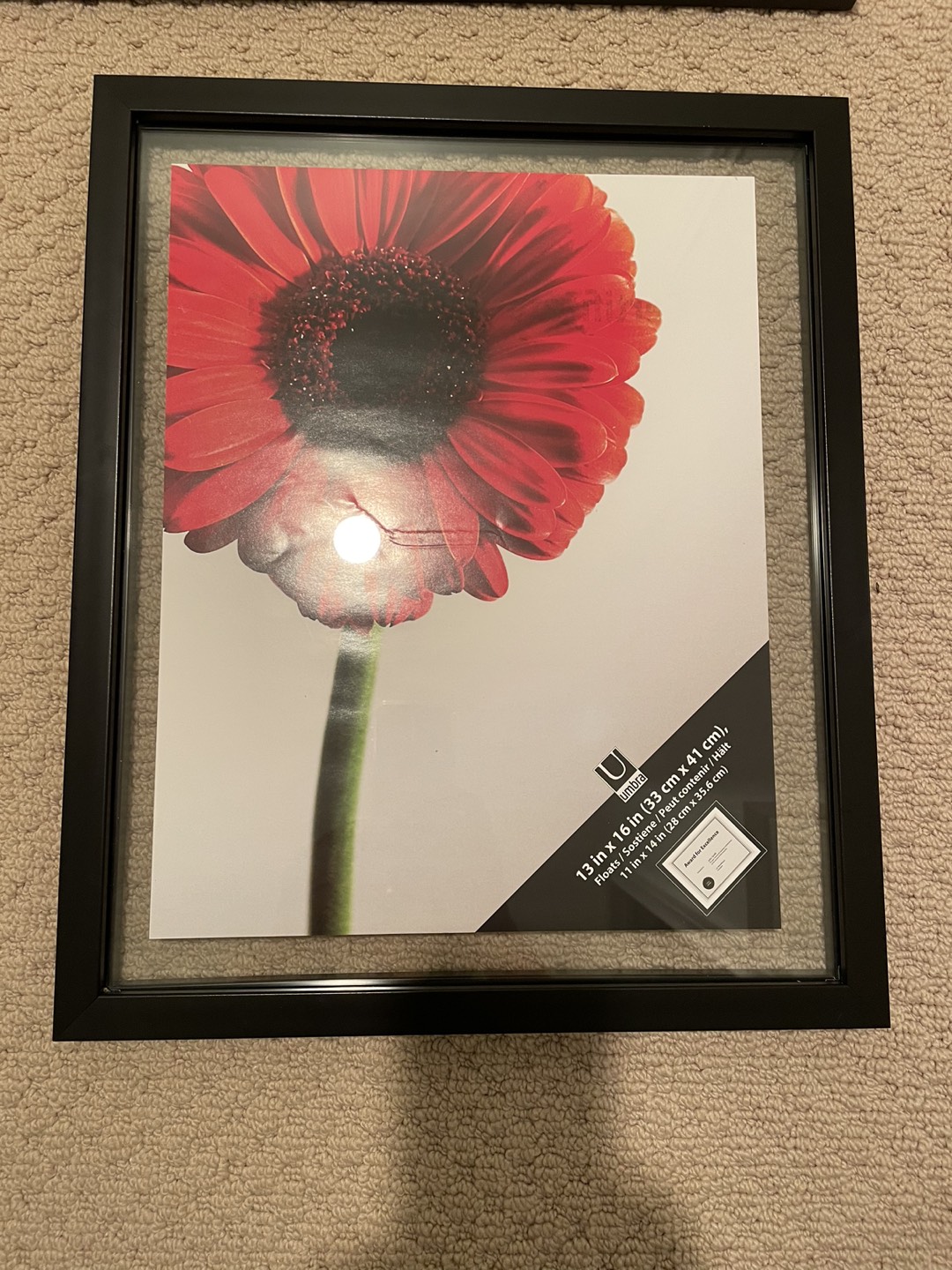 Brand new Umbra frame 13 in x 16 in thumbnail
