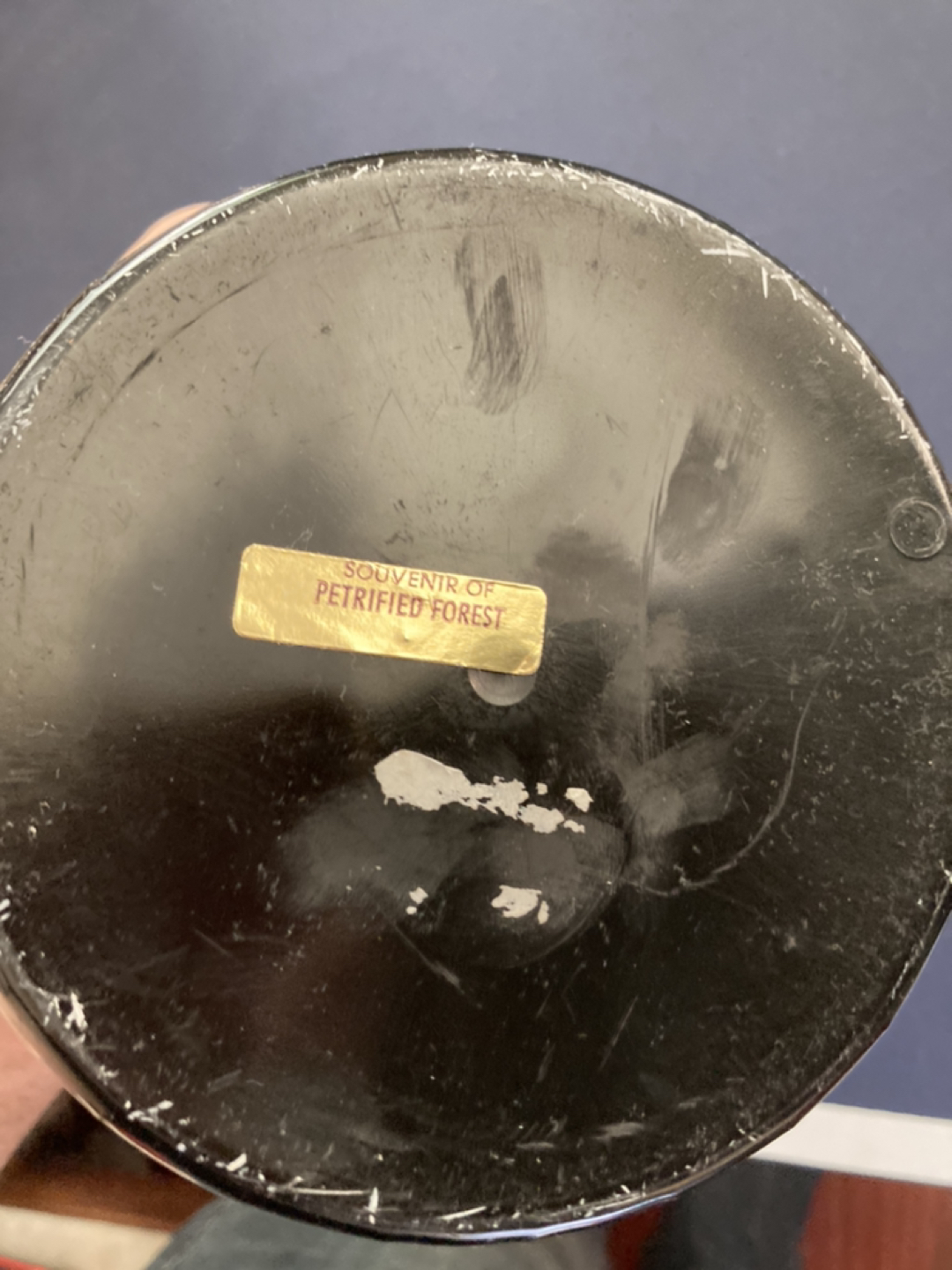 Petrified Wood Souvenir from Petrified Forest image indicator(2)