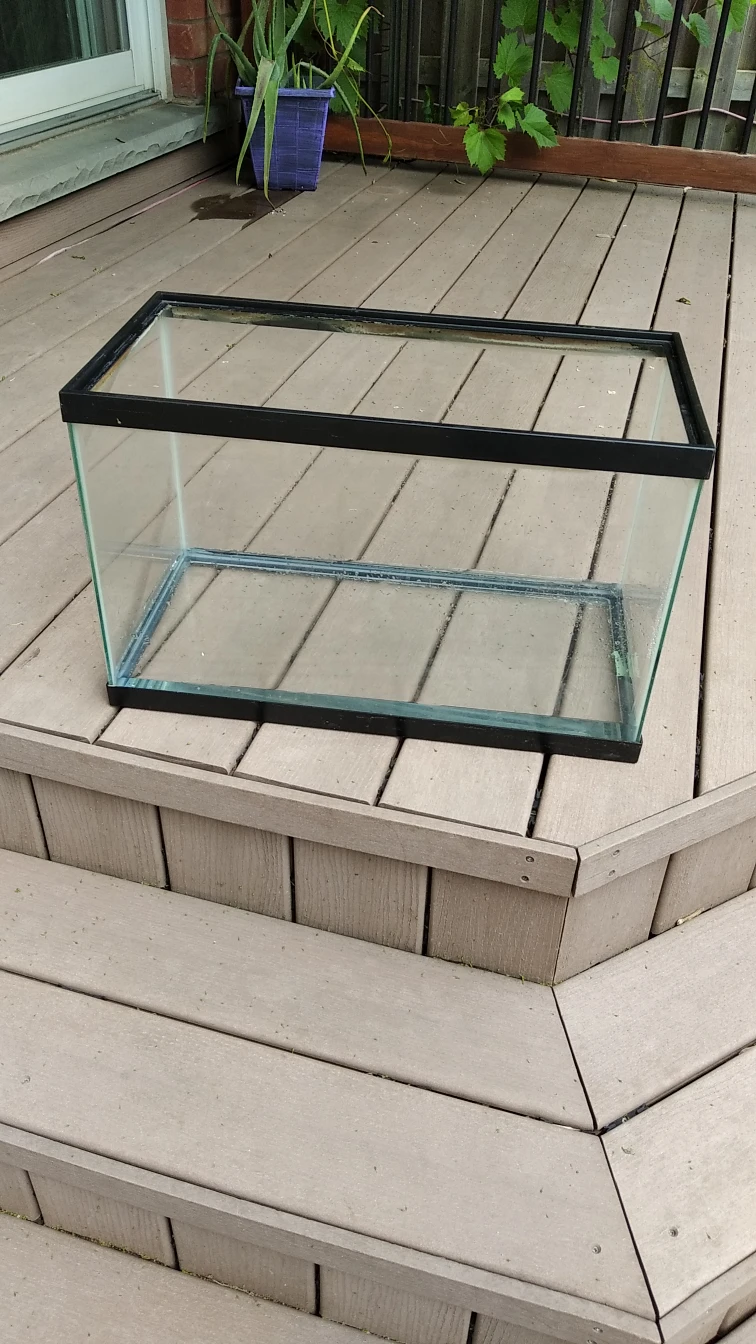 fish tank thumbnail
