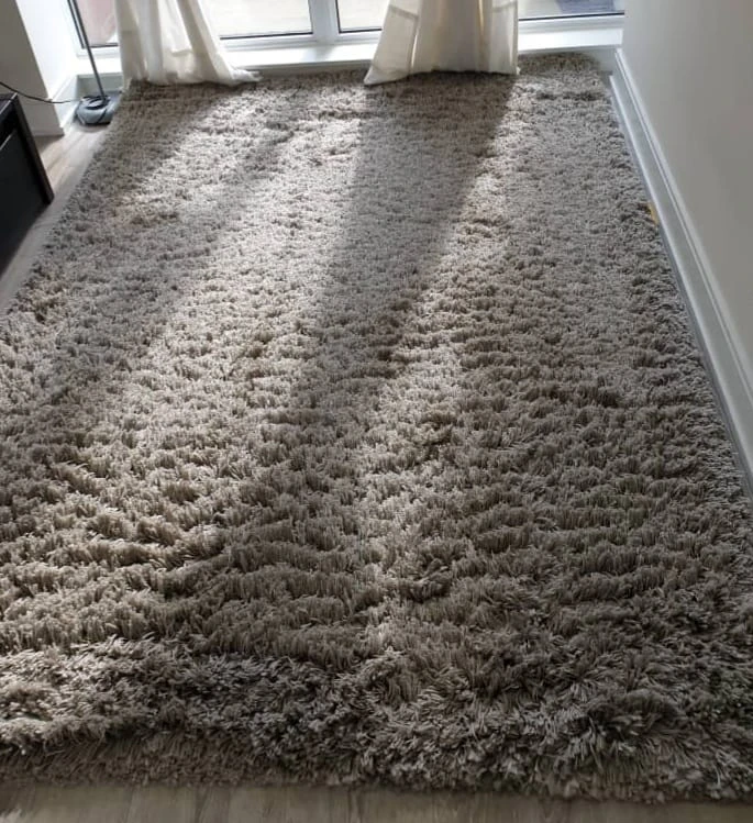 IKEA Rug. Moving Sale