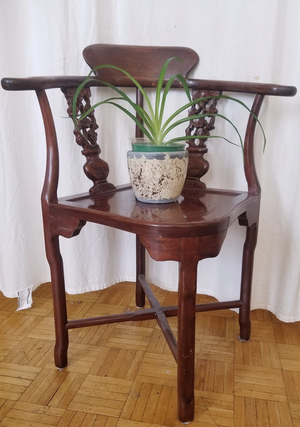 Antique chair with a spider plant pot