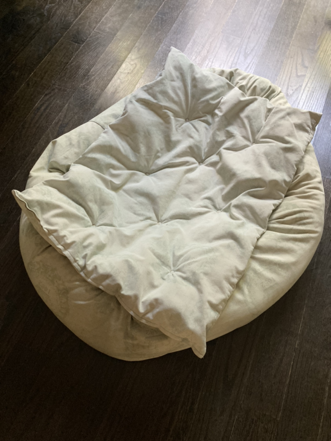 Large dog bed