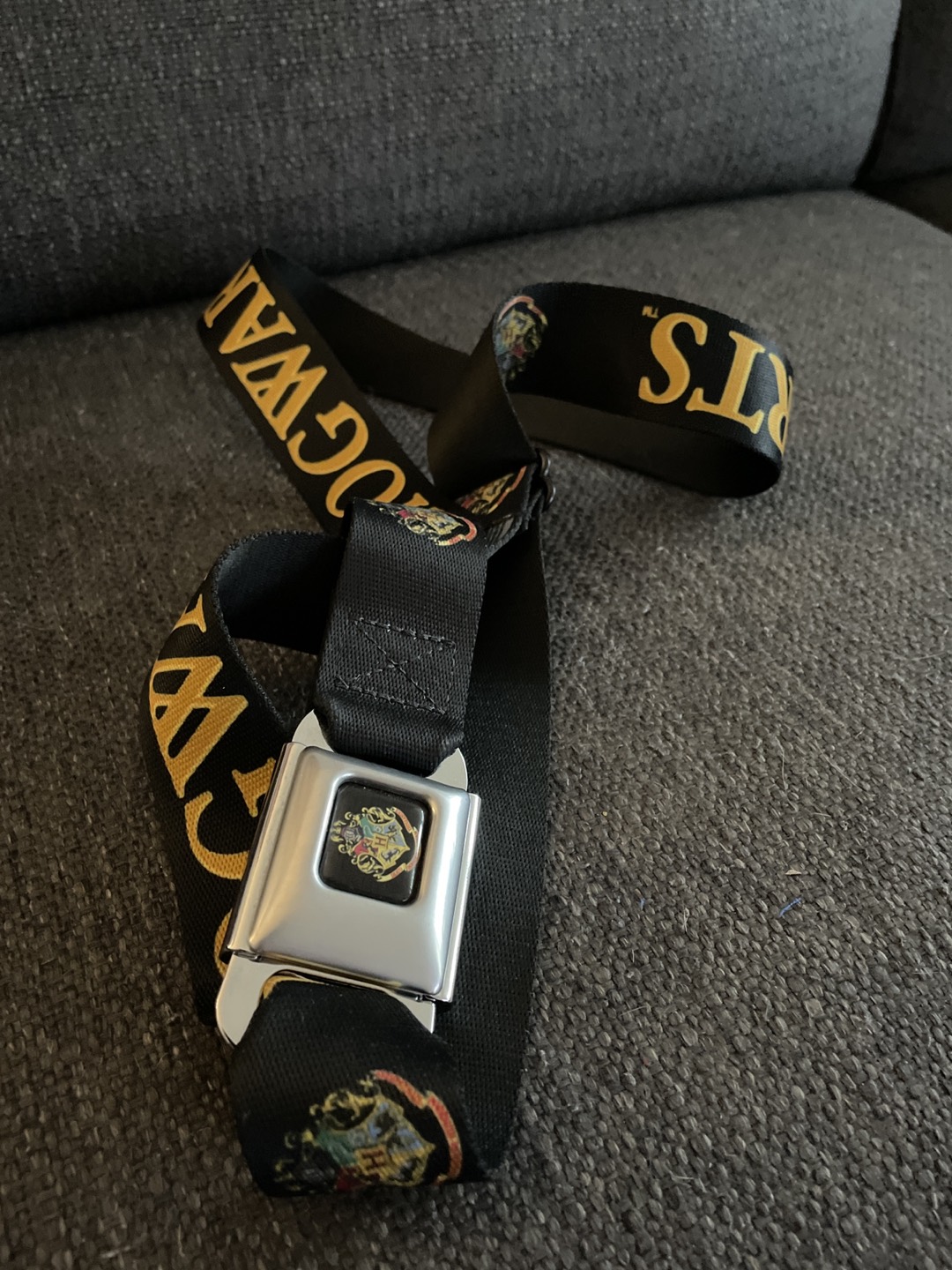Hogwarts Harry Potter belt thumbnail