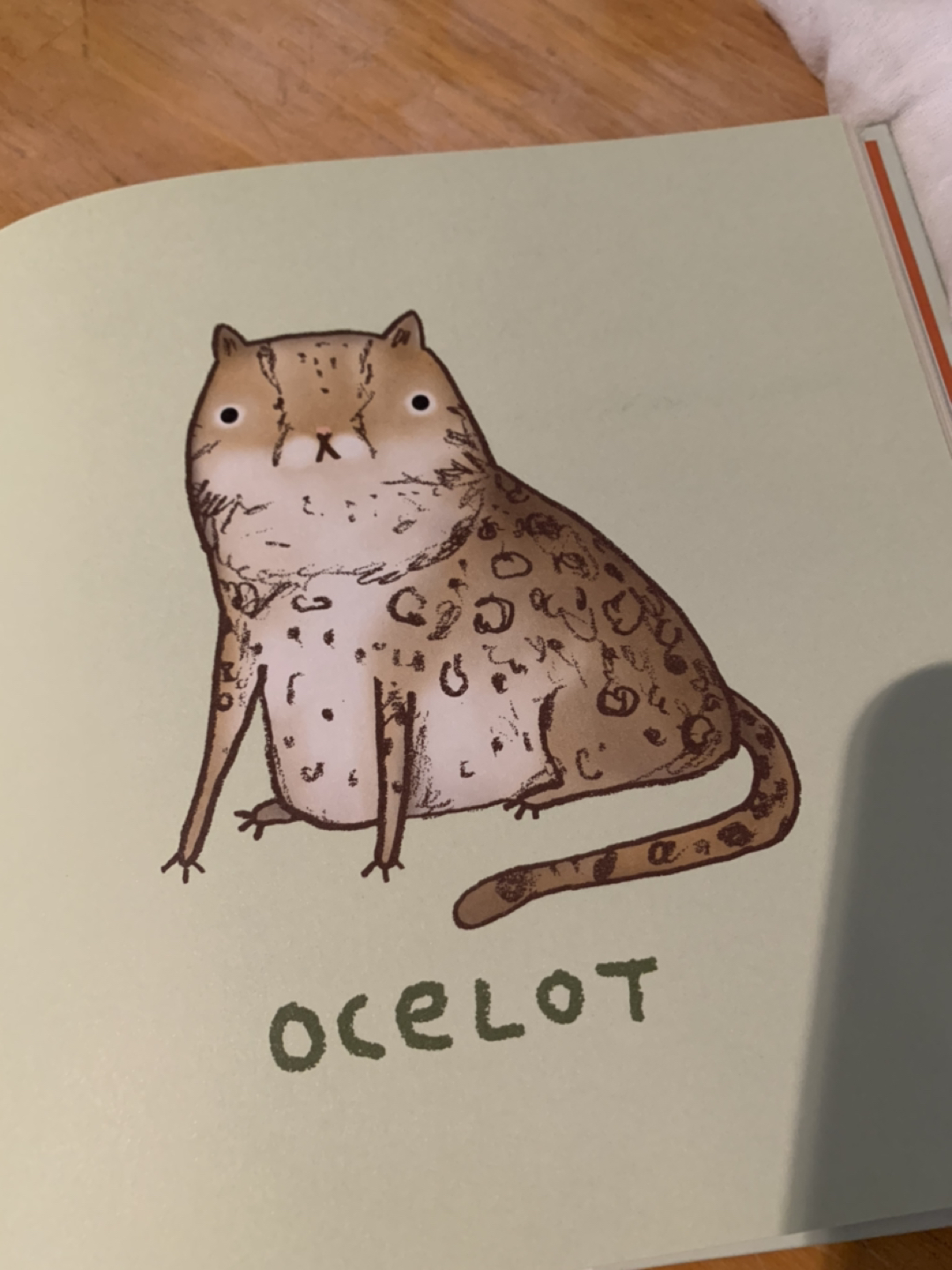Animal anatomy humour book - free - photo 4