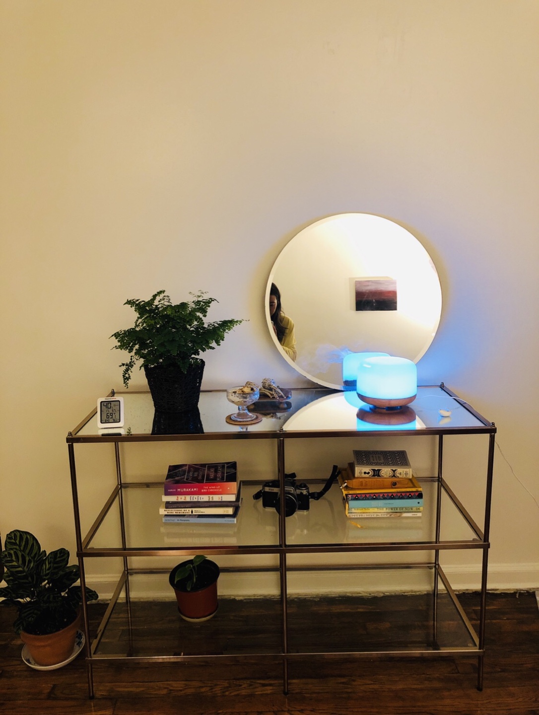 Beautiful diffuser/humidifier with lavender oil 