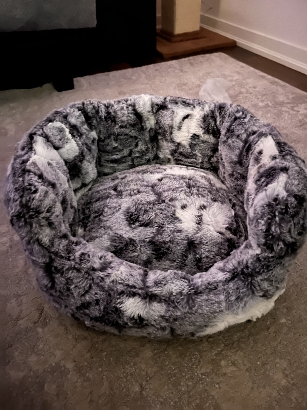 Rarely / never used cat bed