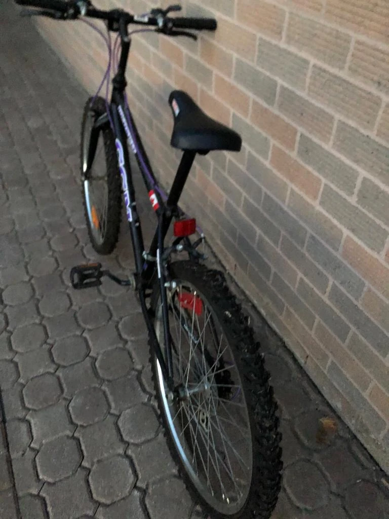 24in CCM Pursuit '90s vintage mountain bike image indicator(2)