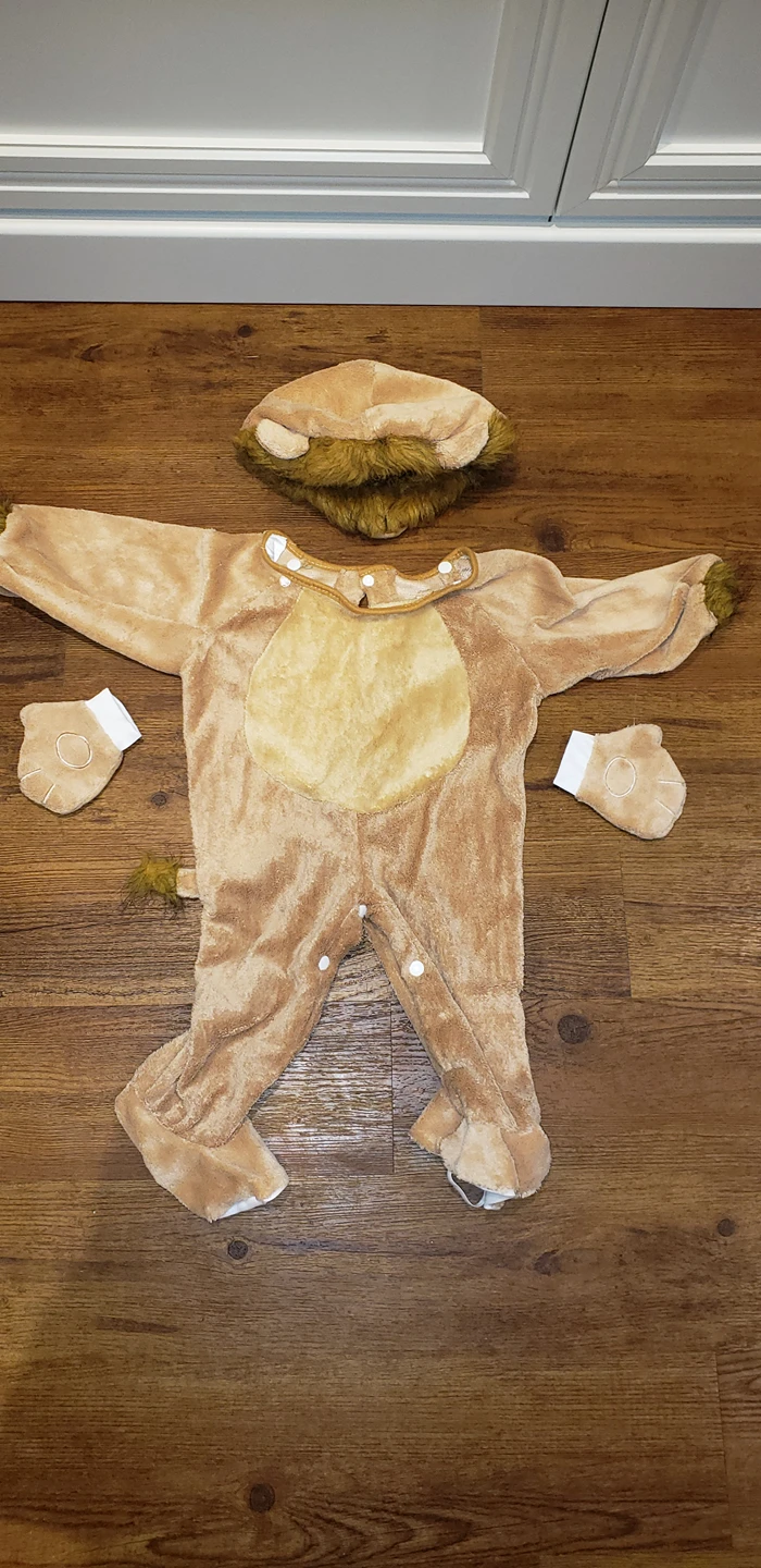 lion costume toddler