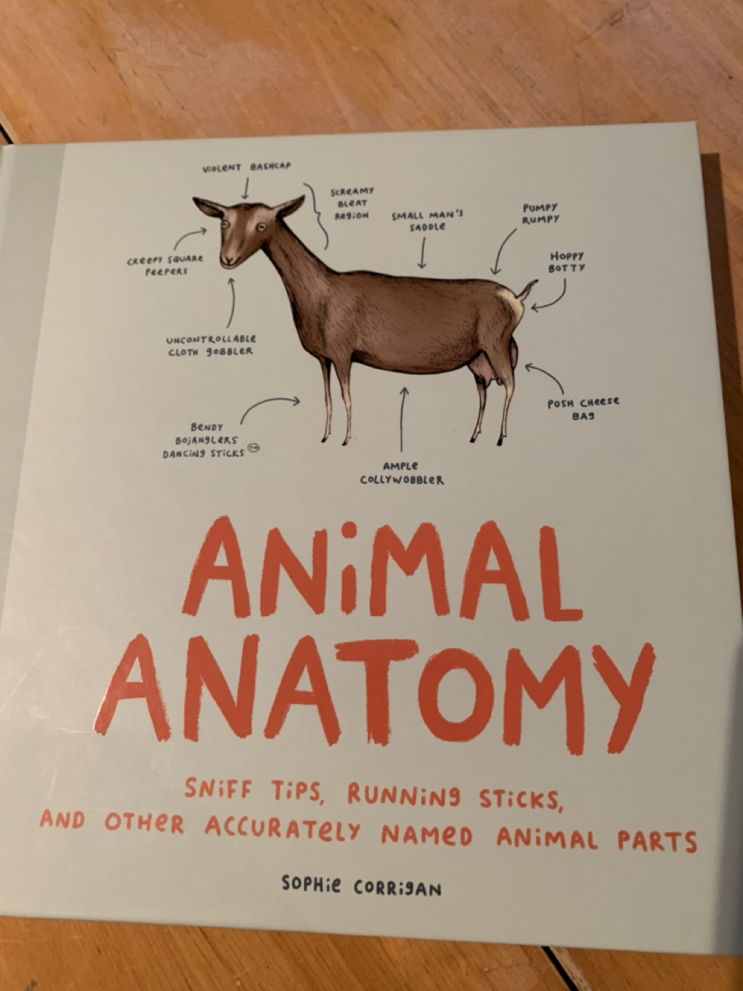 Animal anatomy humour book - free