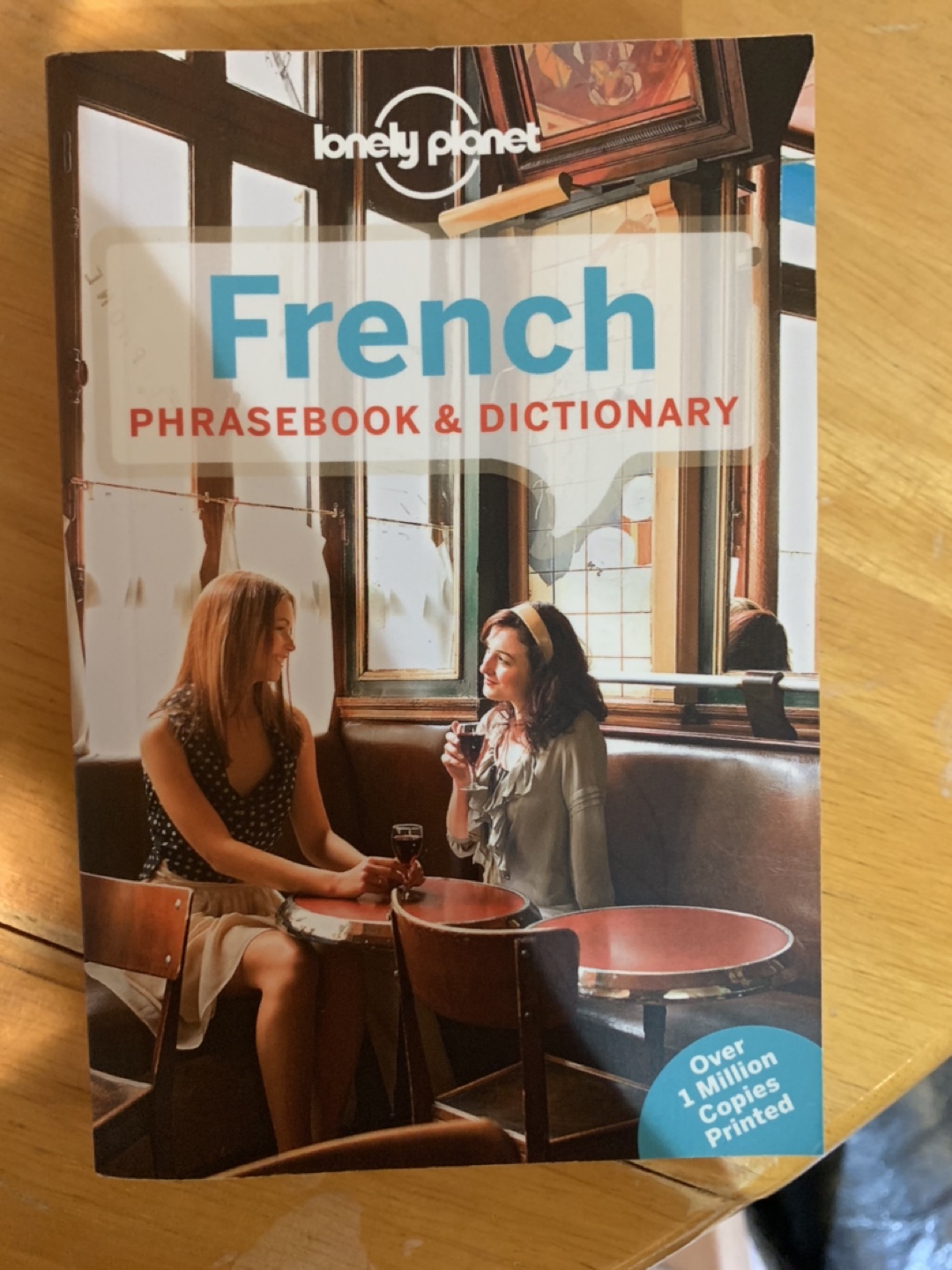Travel sized French phrasebook & dictionary by The Lonely Planet