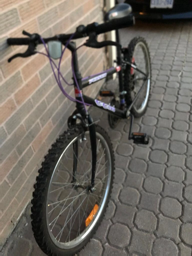 24in CCM Pursuit '90s vintage mountain bike image indicator(3)