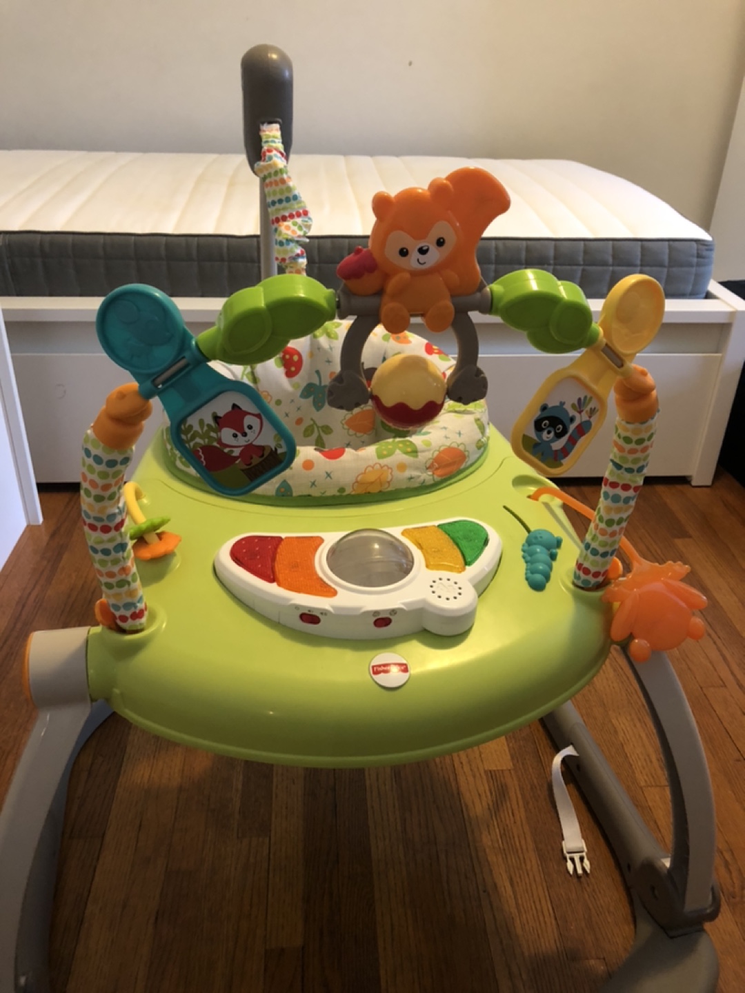 Baby Jumper - Fisher price