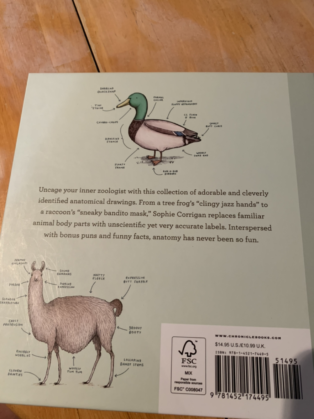 Animal anatomy humour book - free - photo 2