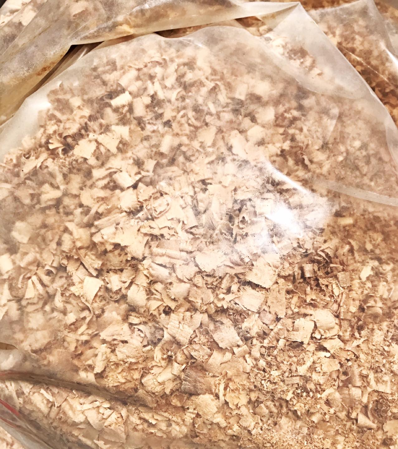 Mega bag of Aspen Tree shaving for pet or garden thumbnail