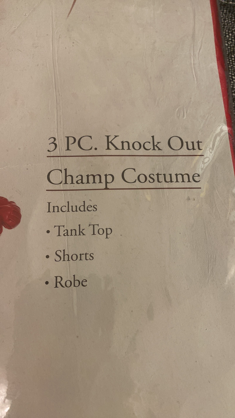Sexy Boxer costume - photo 4
