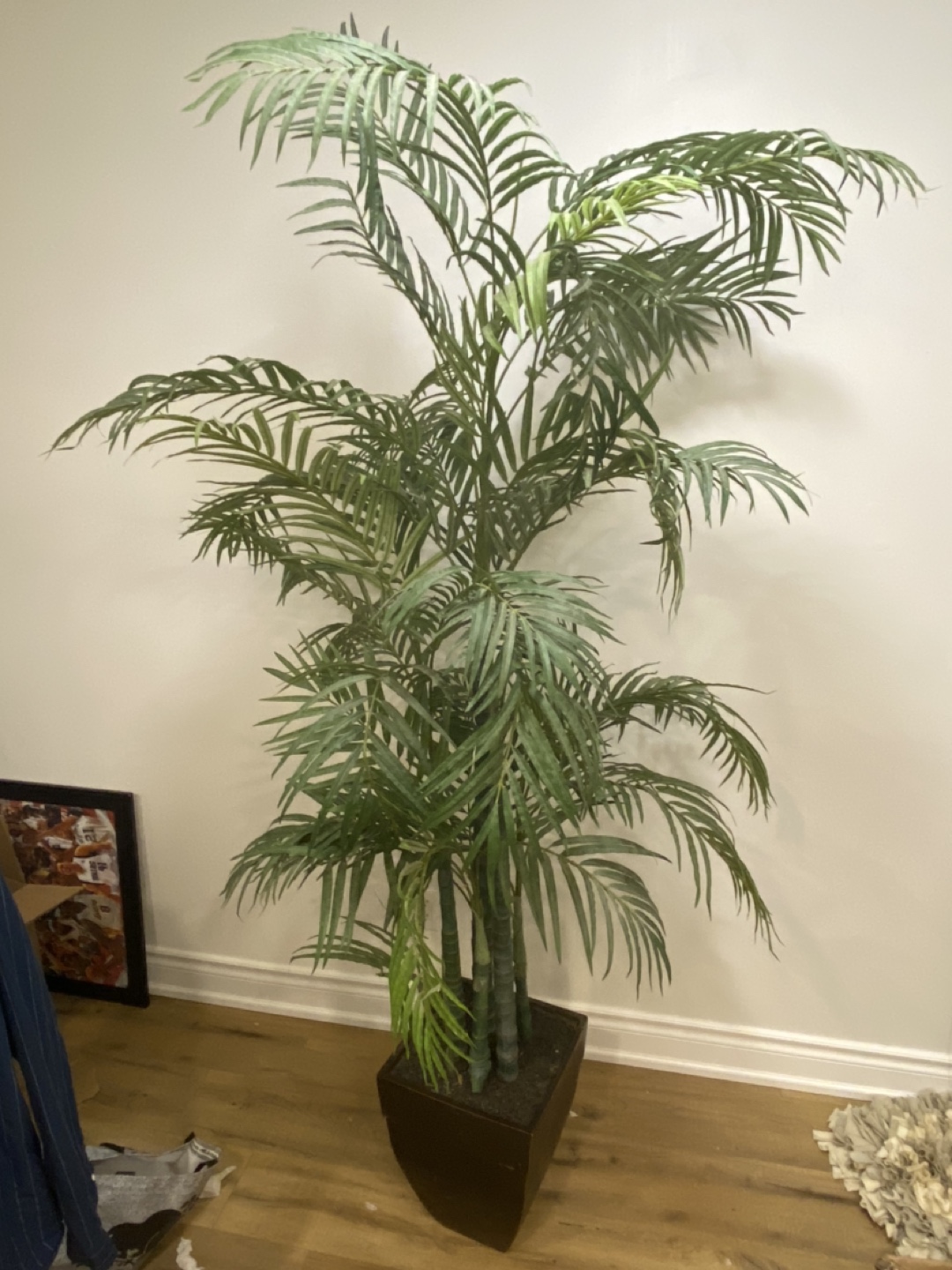 Faux Plant thumbnail