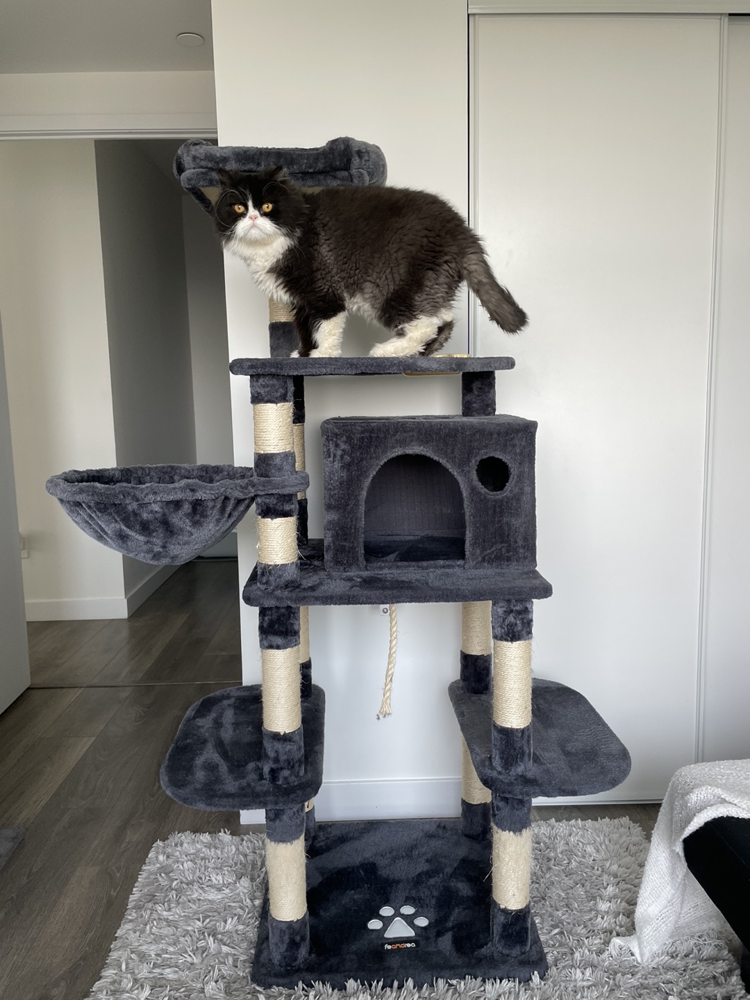 Cat Tree