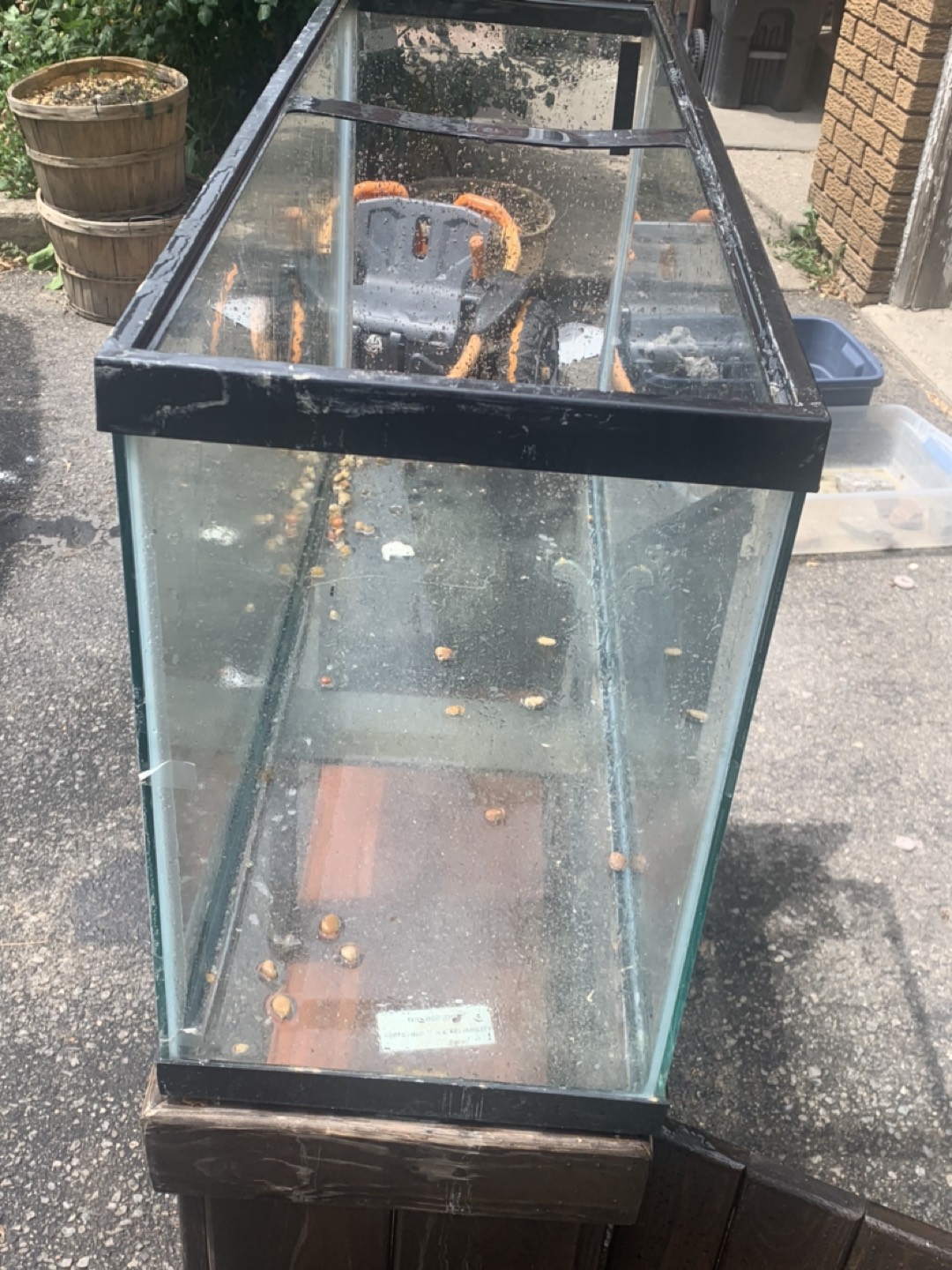 Fish tank image indicator(2)