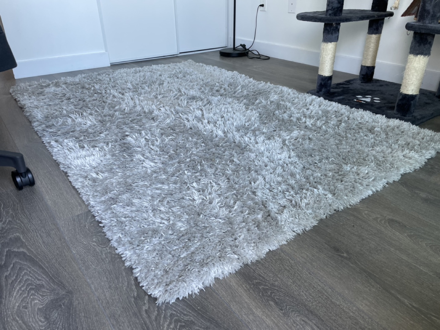 Area Rug