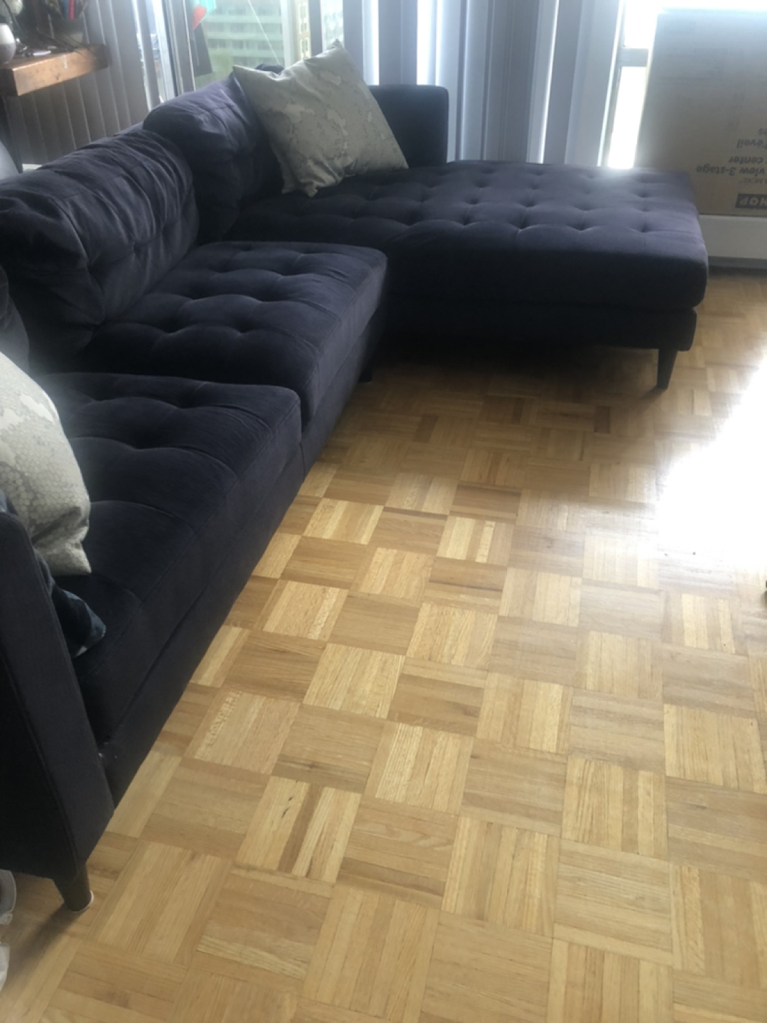 MOVING SALE - Couch with chaise